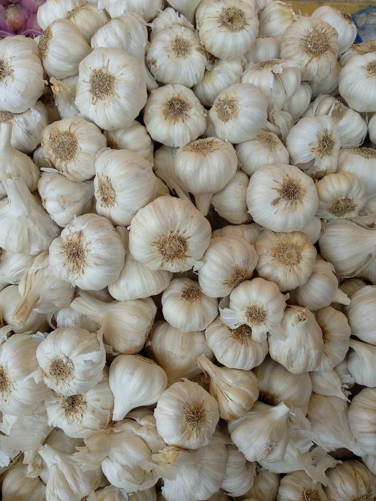 Garlic (bawang)
